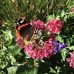 Bed & Breakfast Esprit De De Panne