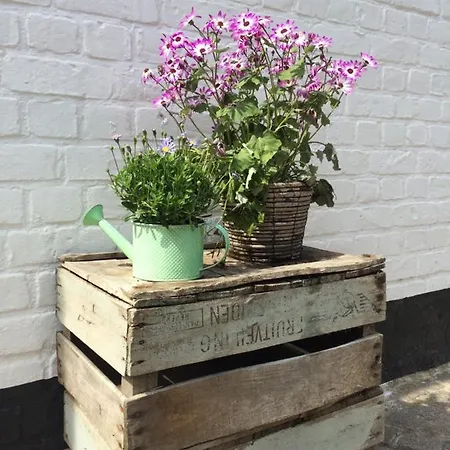 Bed and breakfast Esprit De 4*