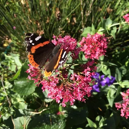 Bed & Breakfast Esprit De De Panne