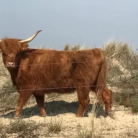 Bed & Breakfast Esprit De 4*