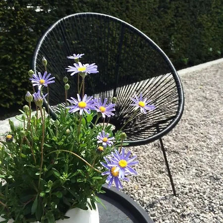 Esprit De 4* De Panne