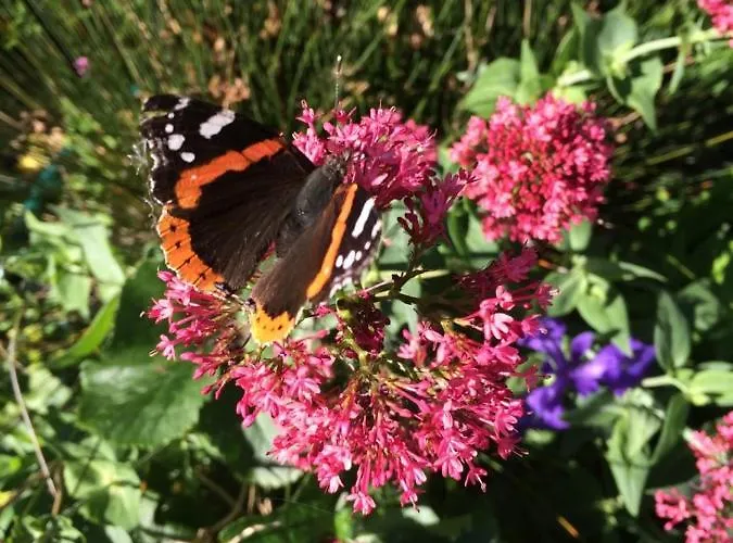 Bed & Breakfast Esprit De De Panne