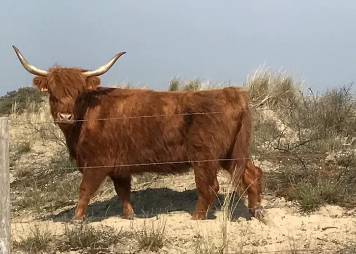 Bed & Breakfast Esprit De 4*