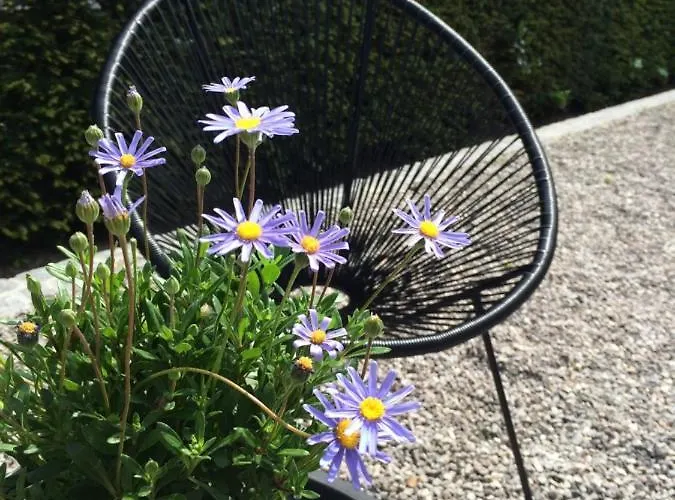 Esprit De 4* De Panne