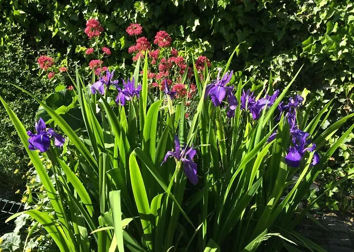 Bed & Breakfast Esprit De 4*